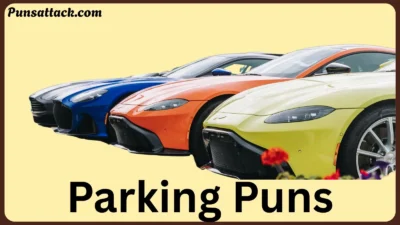 Parking Puns