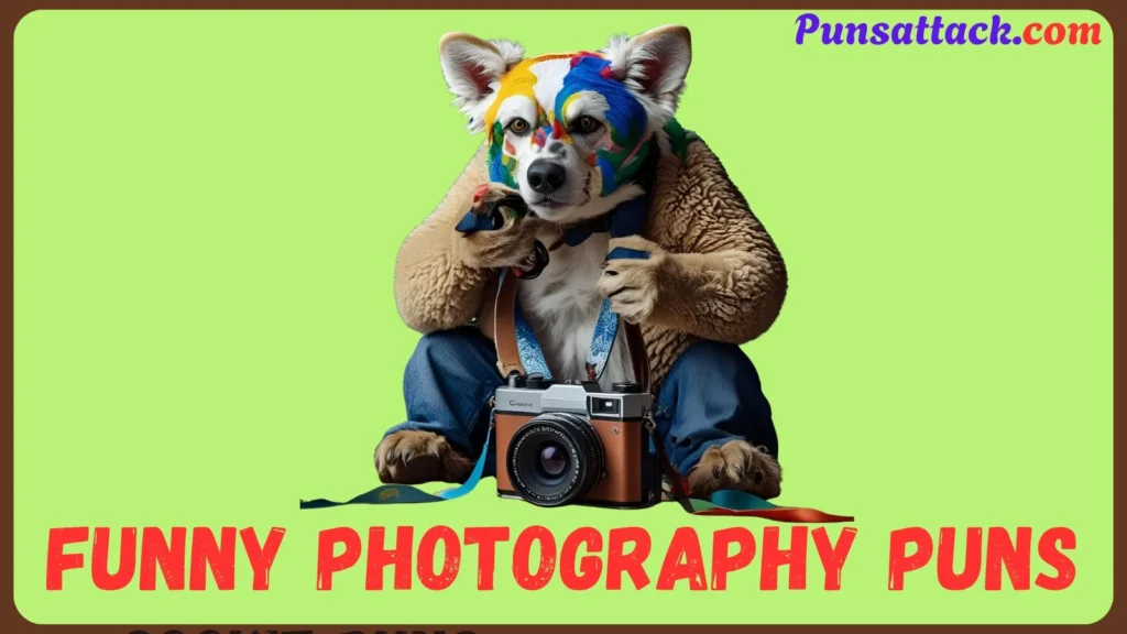 Funny Photography Puns
