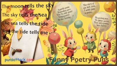 Funny Poetry Puns