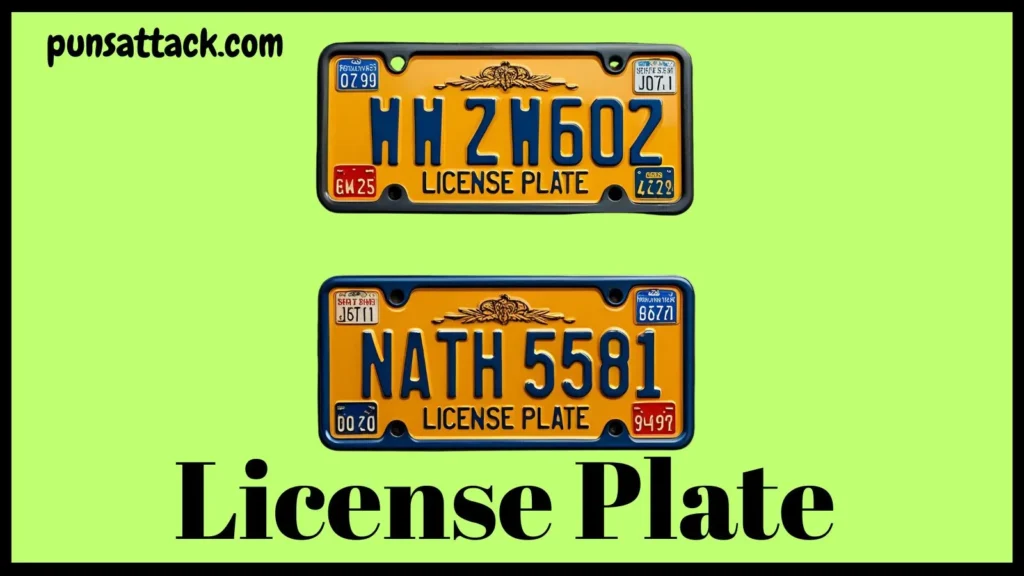 License Plate Puns
