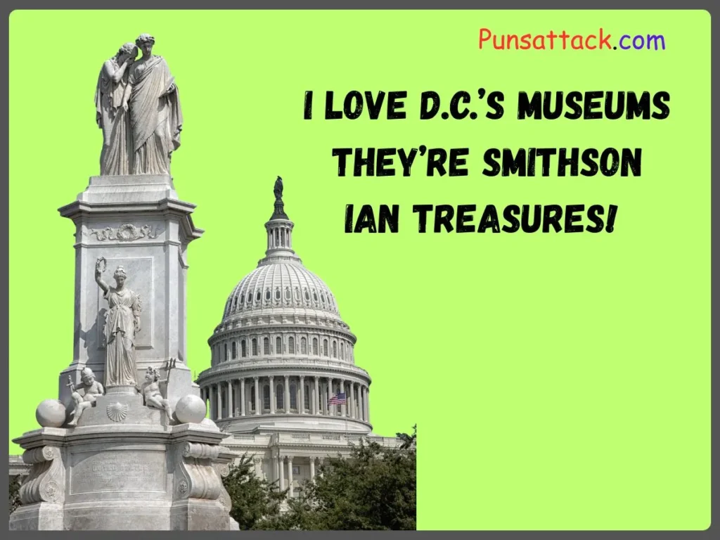 Washington DC Puns