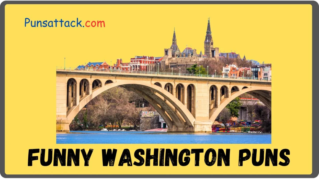 Washington Puns