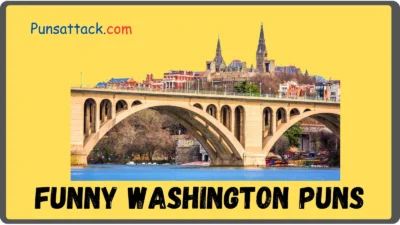 Washington Puns