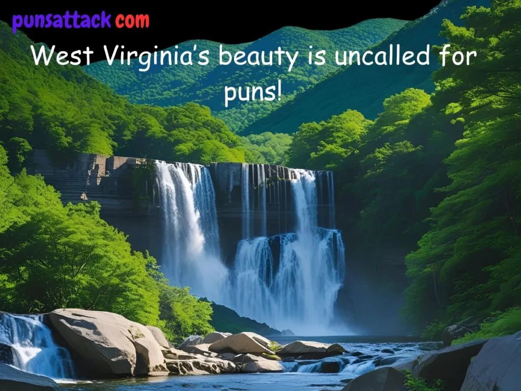 West Virginia Puns