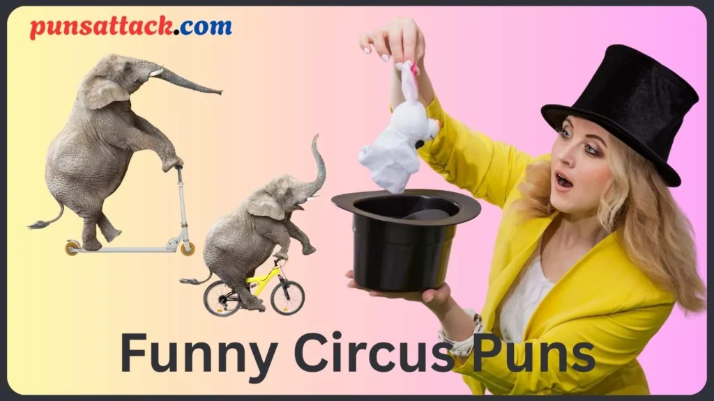 Funny Circus Puns