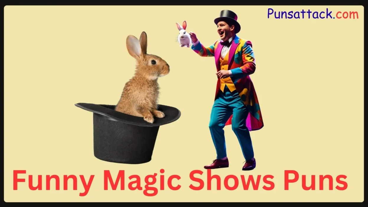 Magic Shows Puns